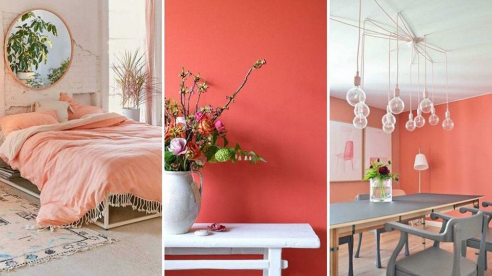 decoración living coral